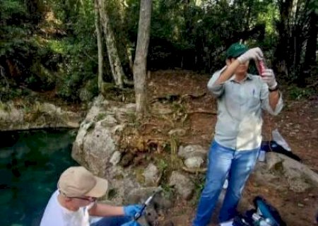 Pesquisadores iniciam estudo do Rio Formoso e monitoramento vai at&eacute; 2026