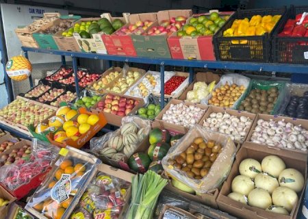 Com frutas e hortaliças direto do campo, Ceasa tem papel crucial na saúde dos sul-mato-grossenses