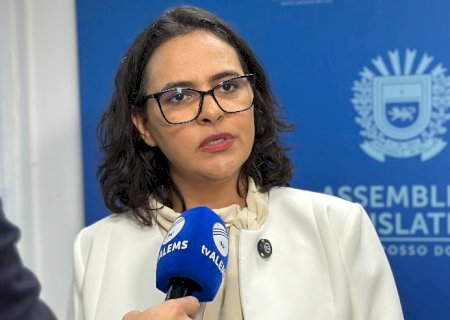 Gleice Jane solicita esforços para instalação de travessia na BR-163