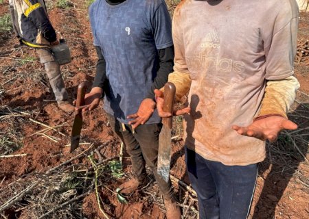 Força-tarefa resgata sete paraguaios vítimas de escravidão contemporânea em MS
