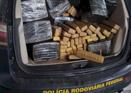 Motorista foge e capotar veículo com quase 700 quilos de maconha em Ivinhema