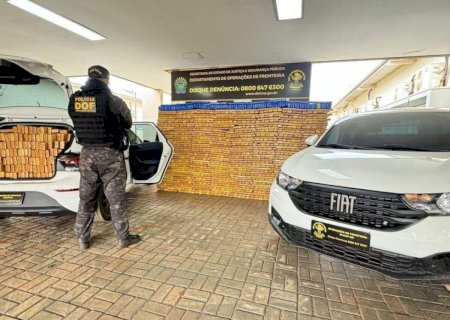 Traficantes abandonam 2,5 t de maconha em milharal