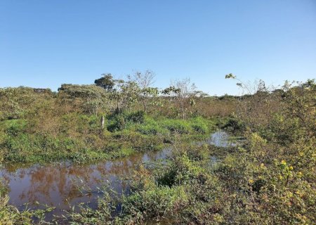 Prefeitura intensifica atividades no Dia Mundial do Meio Ambiente