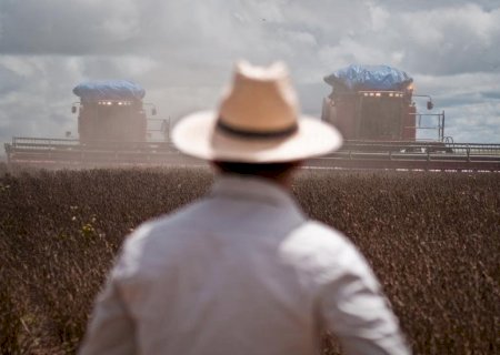 Plano Safra 2025/2026 tem recursos mais caros da história ao produtor