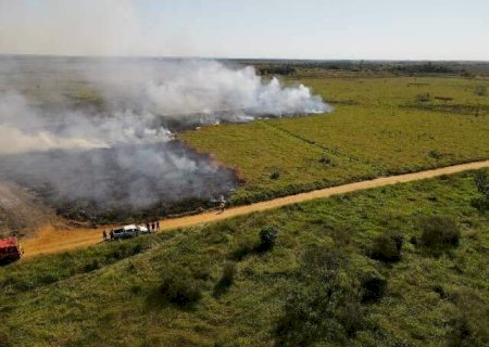 Imasul orienta sobre aceiros e simplifica licenciamento ambiental