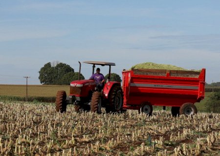 Prefeitura seleciona agricultores familiares para distribuição gratuita de fertilizante orgânico