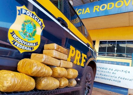 PRF apreende 11,8 kg de skunk em Miranda (MS)