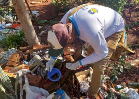 Prefeitura autua proprietários de imóveis por acúmulo de lixo e mato em quintais