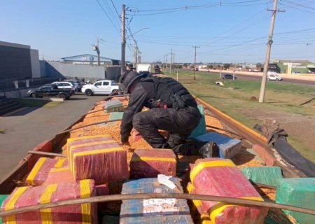Maconha apreendida em meio a carga de milho ultrapassou 15 toneladas