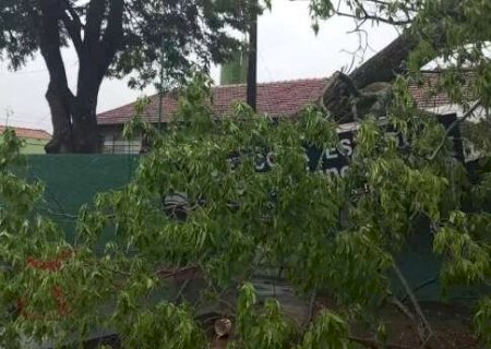 Inmet coloca em alerta 14 cidades para temporal com rajadas de vento