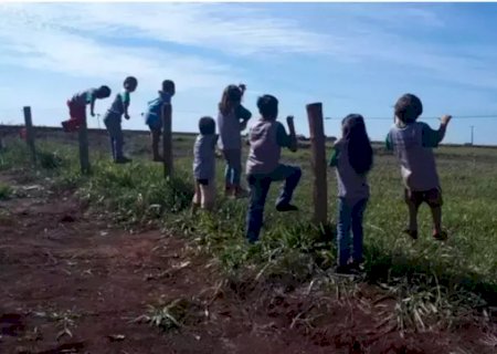 Disparos, agrotóxicos e disputa por terra elevam tensão em área indígena de Caarapó