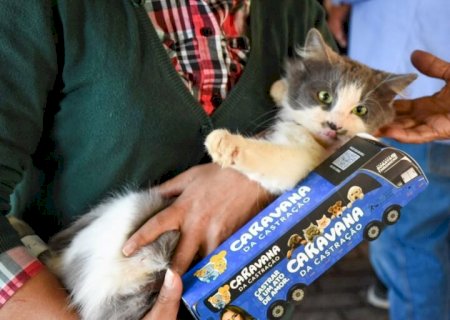 Prefeitura e Estado abrem agendamento da castração dos pets nos dias 1 e 2 de novembro