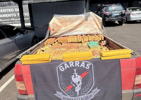 Polícia Civil apreende mais de 800 kg de maconha e prende homem em flagrante na Capital