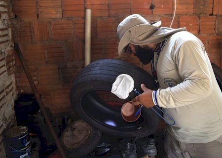 Boletim Epidemiológico: MS registra 8.172 casos confirmados de dengue
