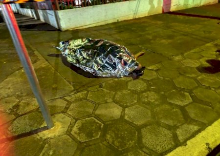 Polícia identifica autor e vítima de homicídio ocorrido no centro de Caarapó; Motivo do crime teria sido um “corotinho' de pinga
