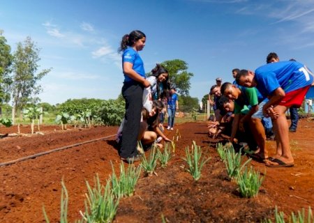 Escola Agrícola Laurindo Stragliotto promove aprendizado prático sobre meio ambiente e sustentabilidade.