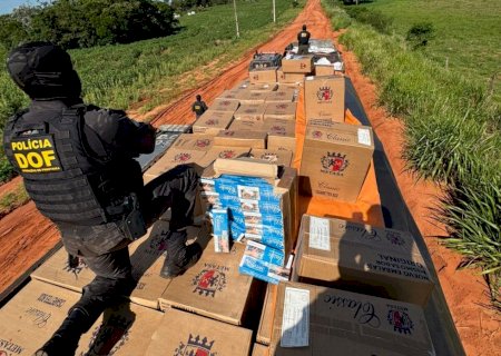 DOF apreende caminhões e carro carregados com mais de 27 mil pacotes de cigarros e 10 toneladas de agrotóxicos