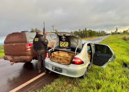 Perseguição a traficante termina com apreensão de mais de 1t de maconha