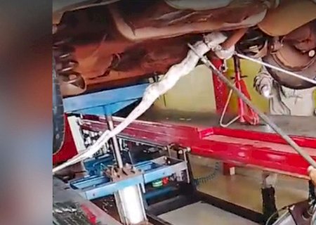 Jiboia se esconde embaixo de carro, resiste ao resgate e mobiliza Bombeiros e PMA em Dourados
