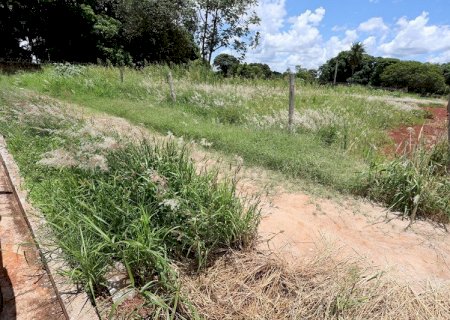 Prefeitura estabelece prazo para limpeza de terrenos baldios e alerta para multas
