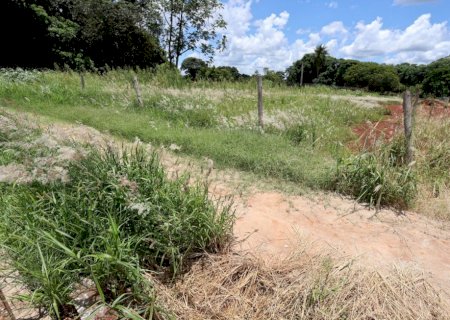 Prefeitura começa a autuar proprietários de terrenos com mato e sujeira no dia 5