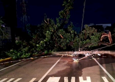 Temporal derruba 32 árvores e causa estragos na região noroeste de Dourados