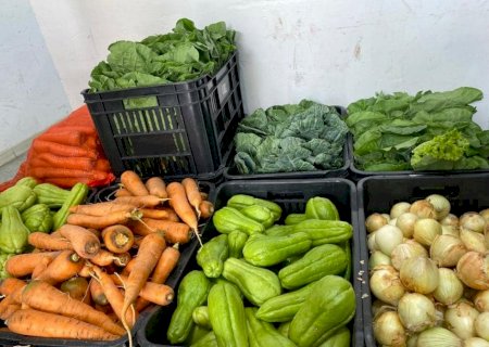 Prefeitura lança edital para compra de alimentos da agricultura familiar para a merenda escolar