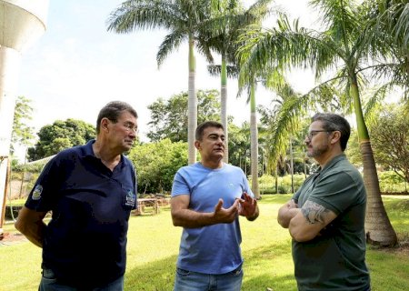 Viveiro Municipal fortalece plano de arborização e garante replantio em Dourados