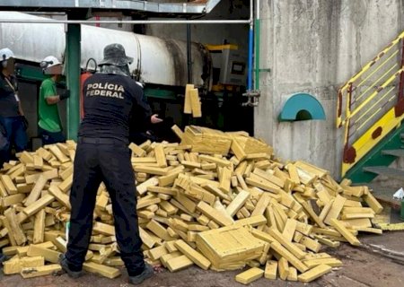 PF destrói mais de 8 toneladas de maconha em Três Lagoas