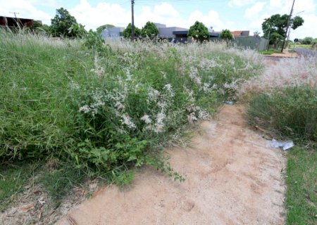 Prefeitura alerta que prazo para roçada e limpeza de terrenos baldios está correndo