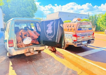 Homens são presos em flagrante por furto de gado e com 225 quilos de carne