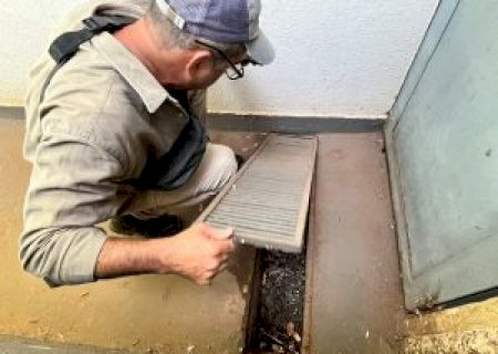 Epidemia em Dourados impulsiona MS a entrar em estratégia inédita de vacina contra chikungunya