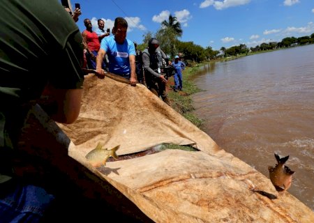Prefeitura solta 3 toneladas de peixes no Parque Antenor Martins para 2ª Festa da Páscoa