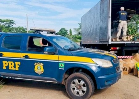 PRF apreende mais de 1,5 tonelada de maconha em caminhão na BR-267 em MS