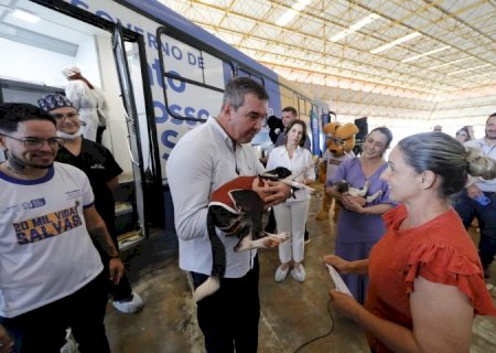 Primeira etapa: Caravana da Castração atende 20 mil animais em 63 municípios do Estado