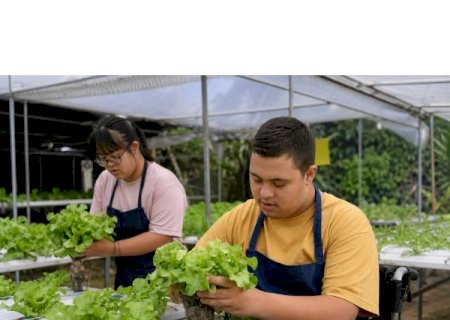 Agro Inclusivo MS: proposta garante autonomia para pessoas com deficiência