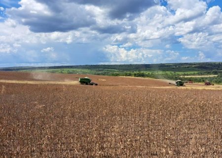 Produtividade da soja é revisada de 52,8 para 61,7 sacas por hectare
