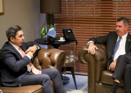 Para ampliar parcerias em áreas estratégicas, Governo de MS recebe representante dos EUA