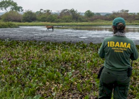 Fiscalizações contra incêndios no Pantanal são intensificadas em MS