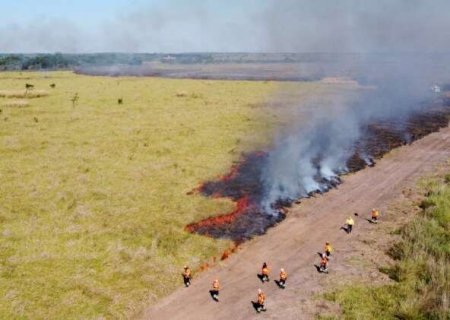 Campanha "Fogo Zero" vai debater combate a inc&ecirc;ndios florestais em MS