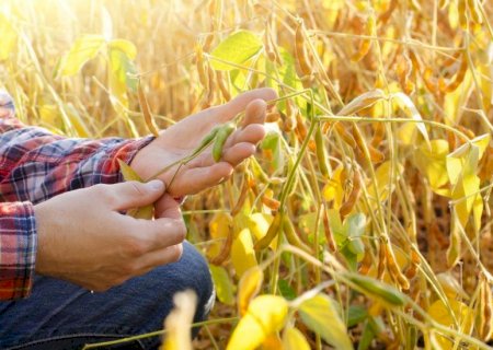 Inscrições abertas para Circuito Acadêmico gratuito que leva capacitação a estudantes de Agronomia