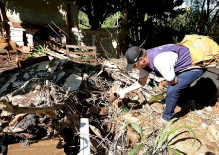 Bonito confirma 3&ordf; morte por chikungunya e MS soma 16 &oacute;bitos