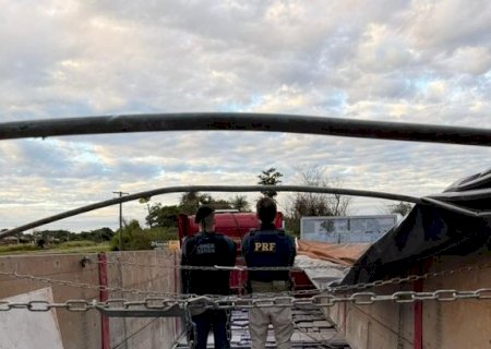 PRF e PM apreendem 4 toneladas de maconha em Nova Andradina