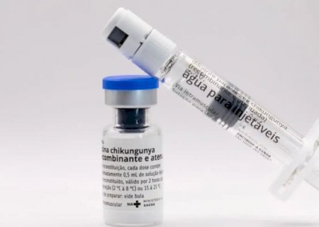 Butantan vai produzir vacina nacional contra chikungunya