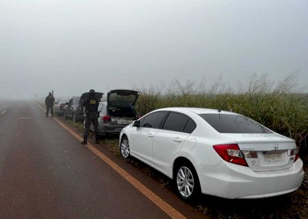 DOF apreende mais de 400kg de drogas transportadas em comboio de carros