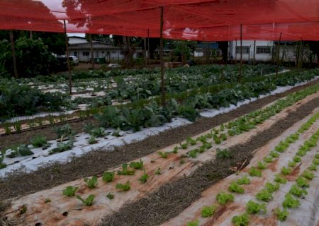 Tecnologia no campo avança além das máquinas e aproxima jovens da ciência em assentamento de MS