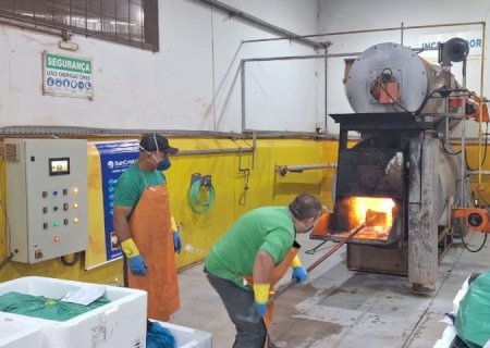 Operação inédita destrói 1 tonelada de medicamentos irregulares e reforça combate ao mercado clandestino