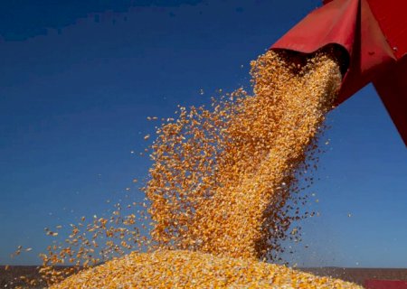 IBGE prevê safra de 347,4 milhões de toneladas para 2026
