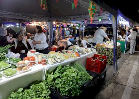 Feira dos Ipês é pet friendly e reúne música, sabores e mais de 60 expositores nesta terça-feira