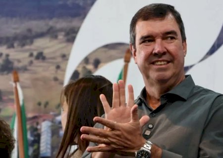 Riedel defende tornozeleira para agressores e reforço da rede contra feminicídios